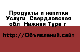 Продукты и напитки Услуги. Свердловская обл.,Нижняя Тура г.